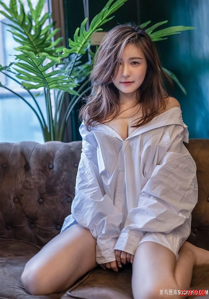 免费观看剧的软件